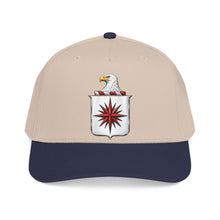 Load image into Gallery viewer, Mid Profile Baseball Cap - COA - Central Intelligence Agency (CIA) wo Txt - 3D - Enhanced