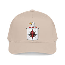 Load image into Gallery viewer, Mid Profile Baseball Cap - COA - Central Intelligence Agency (CIA) wo Txt - 3D - Enhanced