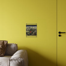 Load image into Gallery viewer, Acrylic Wall Art Panel - RedBall Express w RB