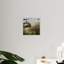 Load image into Gallery viewer, Acrylic Wall Art Panel - 1st Cavalry Division - Air Assault - Vietnam
