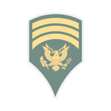 Load image into Gallery viewer, Kiss-Cut Stickers - Army - Enlisted - SPEC 7 - Specialist 7 - Std X 300