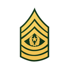 Load image into Gallery viewer, Kiss-Cut Vinyl Decals - Army - Command Sgt Major E-9 (CSM) X 300