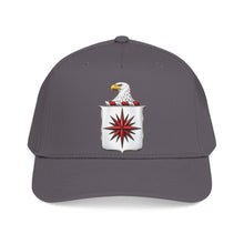 Load image into Gallery viewer, Mid Profile Baseball Cap - COA - Central Intelligence Agency (CIA) wo Txt - 3D - Enhanced