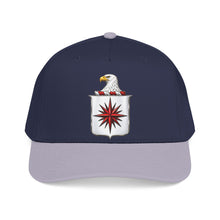 Load image into Gallery viewer, Mid Profile Baseball Cap - COA - Central Intelligence Agency (CIA) wo Txt - 3D - Enhanced