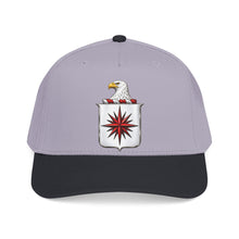 Load image into Gallery viewer, Mid Profile Baseball Cap - COA - Central Intelligence Agency (CIA) wo Txt - 3D - Enhanced