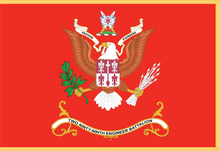 Load image into Gallery viewer, Rectangle Flags - Army - Battalion Colors - 299th Engineer Battalion - Engineer Branch - Flag w Fringe - HEX - FF2400 X 300