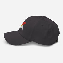 Load image into Gallery viewer, Dad hat - 4th Squadron, 11th Armored Cavalry Regiment - Guidon - Waving