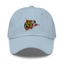 Load image into Gallery viewer, Dad hat - 450th Fighter-Day Squadron wo Txt X 300
