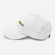 Load image into Gallery viewer, Dad hat - Vietnam Service Ribbon Bar