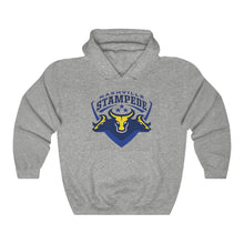 Load image into Gallery viewer, Unisex Heavy Blend™ Hooded Sweatshirt - Nashville Stampede