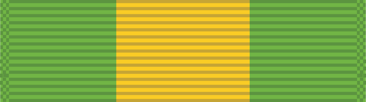 Award of the Mexican Border Defense Medal – MIP Brand Store