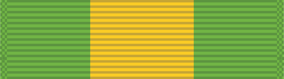 Award of the Mexican Border Defense Medal