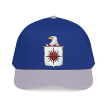 Load image into Gallery viewer, Mid Profile Baseball Cap - COA - Central Intelligence Agency (CIA)  wo Txt - 3D - Enhanced
