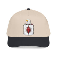 Load image into Gallery viewer, Mid Profile Baseball Cap - COA - Central Intelligence Agency (CIA)  wo Txt - 3D - Enhanced
