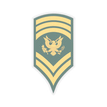 Load image into Gallery viewer, Kiss-Cut Stickers - Army - Enlisted - SPEC 9 - Specialist 9  - Std X 300
