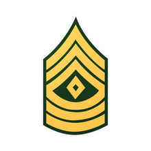 Load image into Gallery viewer, Kiss-Cut Vinyl Decals - Army - First Sergeant E-8 (1SG) X 300

