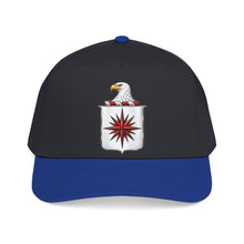 Load image into Gallery viewer, Mid Profile Baseball Cap - COA - Central Intelligence Agency (CIA)  wo Txt - 3D - Enhanced
