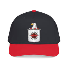 Load image into Gallery viewer, Mid Profile Baseball Cap - COA - Central Intelligence Agency (CIA)  wo Txt - 3D - Enhanced
