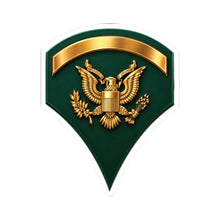 Load image into Gallery viewer, Kiss-Cut Stickers - Army - Specialist 5th Class - Retired - SP5 - 3D X 300
