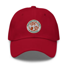 Load image into Gallery viewer, Dad hat - Multinational Force and Observers (MFO) Insignia X 300
