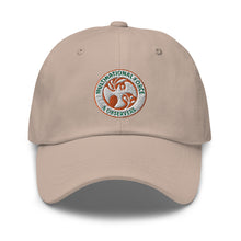 Load image into Gallery viewer, Dad hat - Multinational Force and Observers (MFO) Insignia X 300
