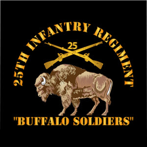 Microfiber Duvet Cover - Army - 25th Infantry Regiment - Buffalo Soldiers w 25th Inf Branch Insignia