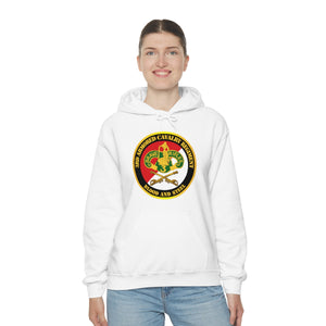 Unisex Heavy Blend Hooded Sweatshirt - Army - 3rd Armored Cavalry Regiment DUI - Red White - Blood and Steel