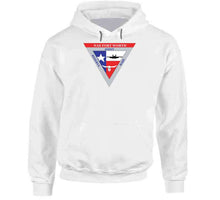 Load image into Gallery viewer, Naval Air Station - Fort Worth X 300 V1 Hoodie
